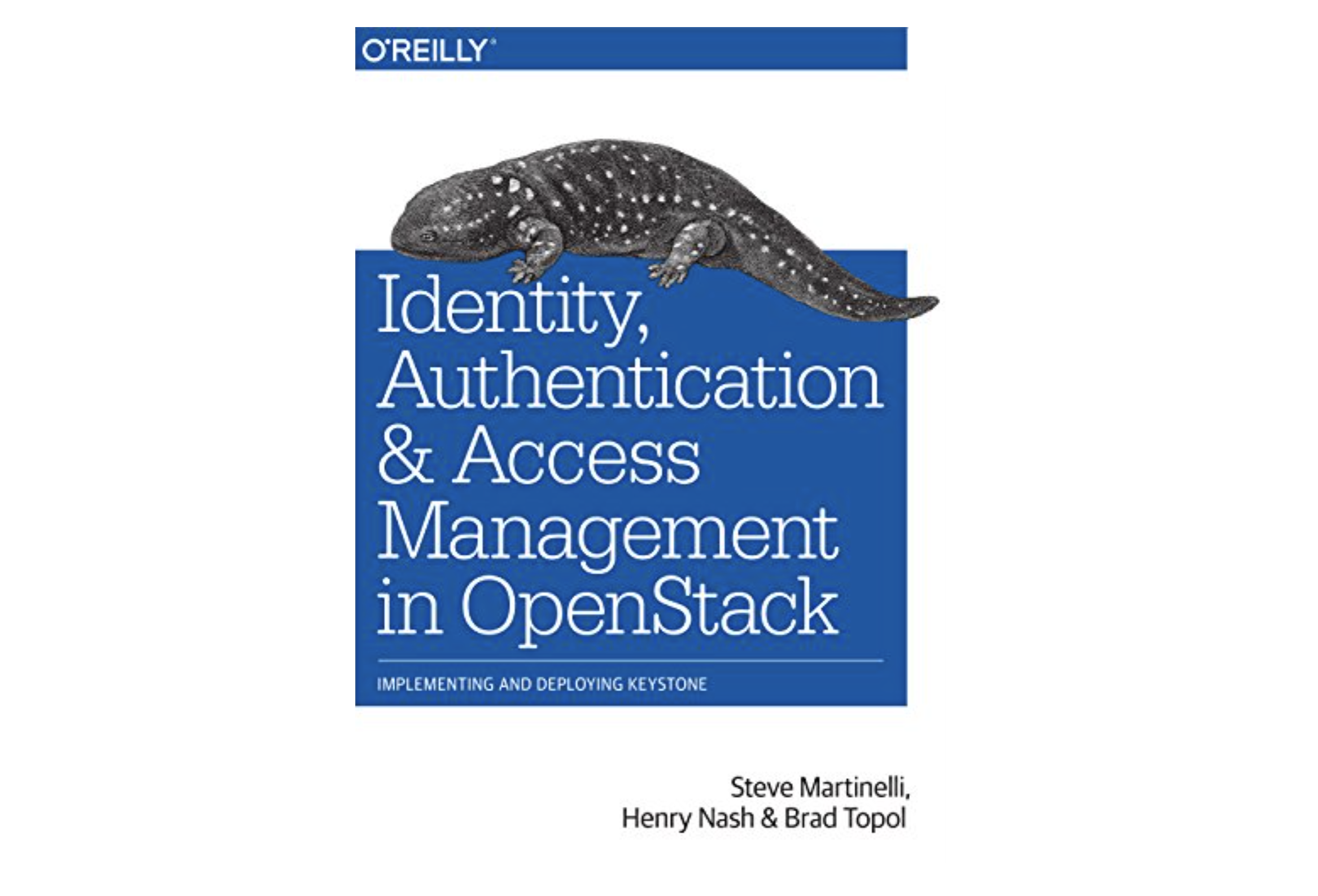 Access Management in OpenStack